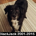 BlackJack 2001-2015